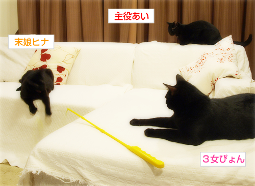 命のしずく(オマケ:抗癌治療について・7)_a0389088_17225902.jpg