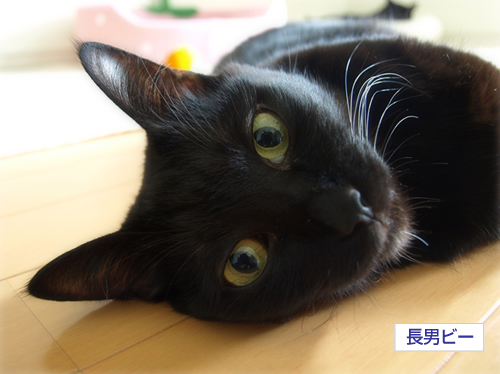 生まれなおして…_a0389088_17230056.jpg