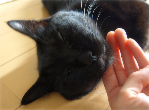 生まれなおして…_a0389088_17230077.jpg