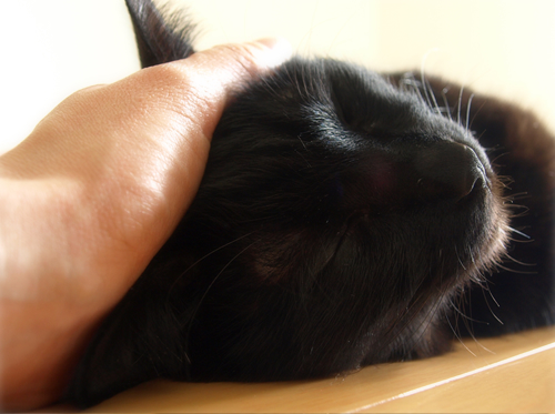生まれなおして…_a0389088_17230098.jpg