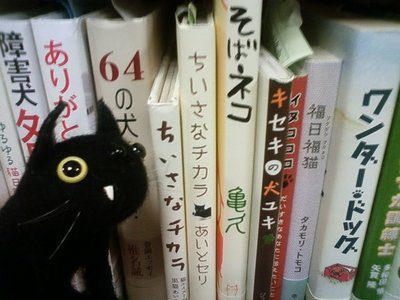 すぐそばの縁（リアルタイム投稿）_a0389088_17230195.jpg