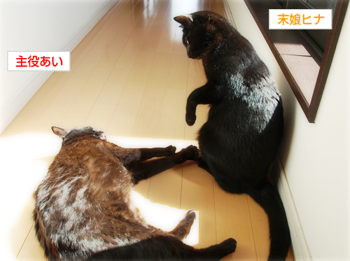 工事中!迂回セヨ?_a0389088_17230200.jpg