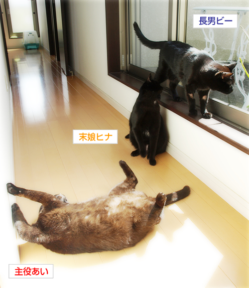 工事中!迂回セヨ?_a0389088_17230236.jpg
