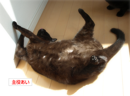 工事中!迂回セヨ?_a0389088_17230268.jpg