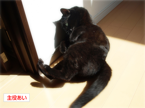 工事中!迂回セヨ?_a0389088_17230288.jpg