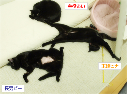 覚悟と決意とほほえみと (オマケ:抗癌治療について・9)_a0389088_17230612.jpg