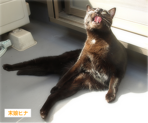 恐怖の副作用_a0389088_17230734.jpg