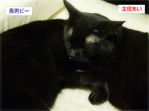 良いところも、悪いところも…_a0389088_17230919.jpg