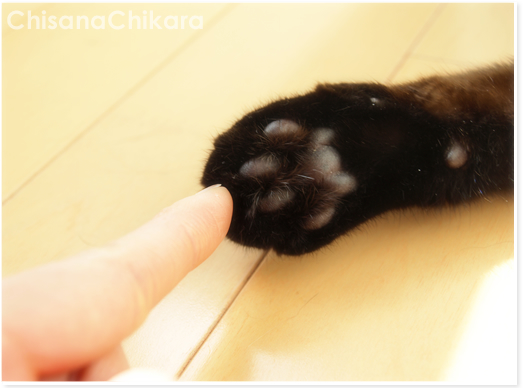 「ひとりじゃない」_a0389088_17230934.jpg