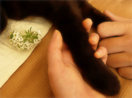 はじめに(あいのこと)_a0389088_17232016.jpg