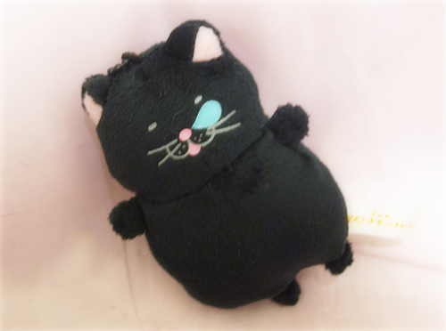 黒い子猫がやってきた!_a0389088_17234759.jpg