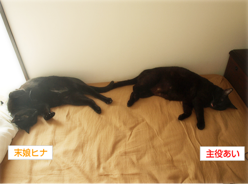 愛のかたち_a0389088_17244533.jpg