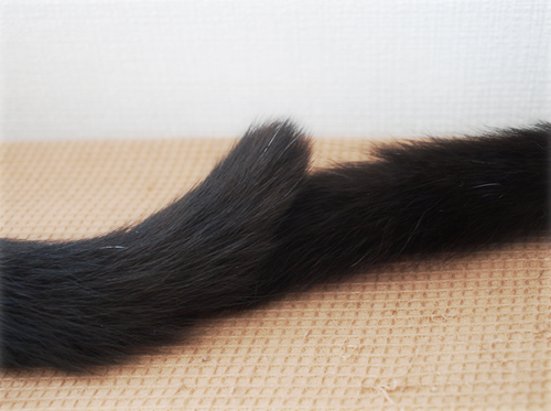 愛のかたち_a0389088_17244542.jpg