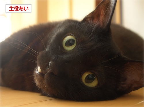 愛のかたち_a0389088_17244613.jpg