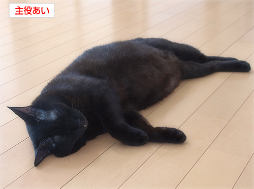 呼吸するしあわせ_a0389088_17251522.jpg