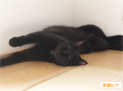 呼吸するしあわせ_a0389088_17251696.jpg