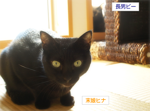 2010ちいさなチカラカレンダープレゼント当選!_a0389088_17265588.jpg