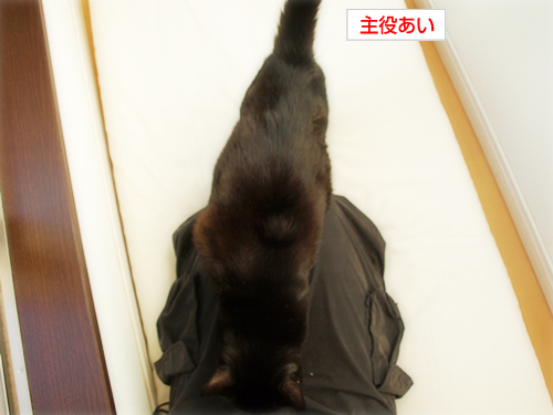 あいされるために生まれた_a0389088_17271432.jpg
