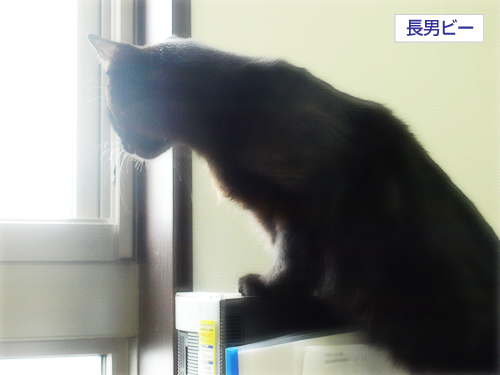 五線譜に乗って奏でる歌_a0389088_17271791.jpg