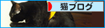 あいの「しこり」_a0389088_17272089.jpg