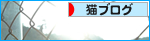 一番の薬は、あなたのぬくもり_a0389088_17272122.jpg
