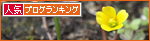 一番の薬は、あなたのぬくもり_a0389088_17272132.jpg