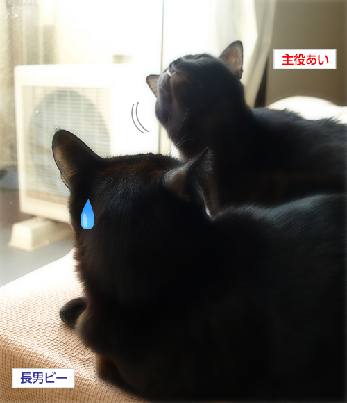 ぼたもち夫婦_a0389088_17272231.jpg
