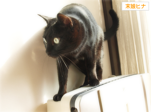 「いのちの日」_a0389088_17273168.jpg