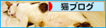子トラ、しあわせを語る！_a0389088_17273243.jpg