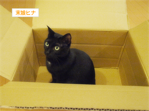 大きなツヅラはお好きですか?_a0389088_17273329.jpg