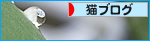 愛の雫_a0389088_17273431.jpg