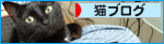 お膝乗り姫、七変化！？_a0389088_17273741.jpg