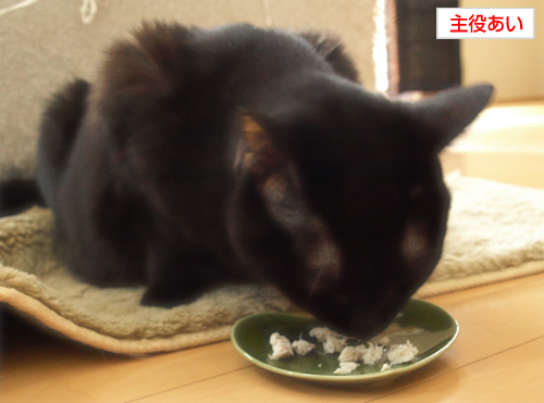 あいの音色(食欲について)_a0389088_17274207.jpg