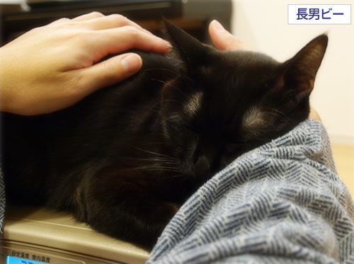 命つないで_a0389088_17274391.jpg