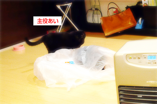今日も生きている_a0389088_17274508.jpg