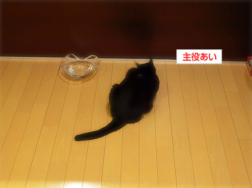 「癌」というもの_a0389088_17274972.jpg