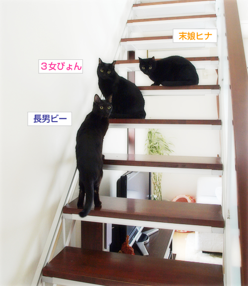 「癌」というもの_a0389088_17275061.jpg