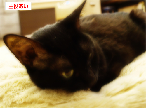 生まれたトコロに還る日を(検査の結果)_a0389088_17275167.jpg