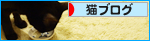 生まれたトコロに還る日を（検査の結果）_a0389088_17275271.jpg