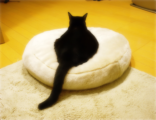また、ね_a0389088_17275422.jpg