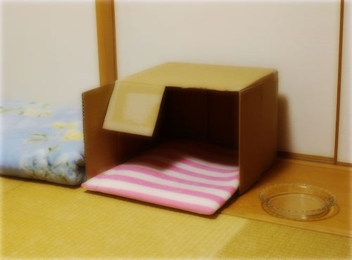 他には何もいらないのにな…_a0389088_17275607.jpg