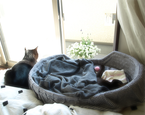 ひだまり_a0389088_17275913.jpg
