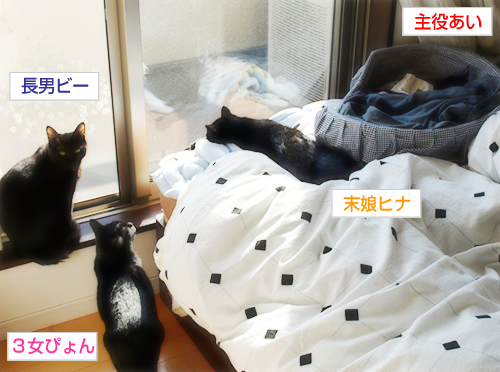 ひだまり_a0389088_17275929.jpg