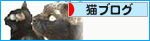 ひだまり_a0389088_17275949.jpg