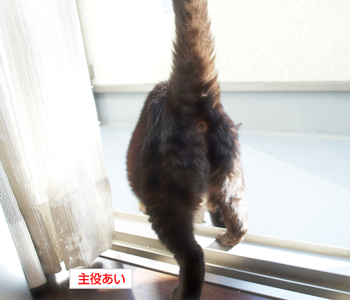 生きてた。_a0389088_17280220.jpg