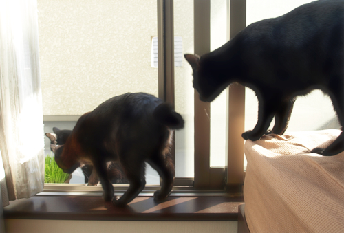 生きてた。_a0389088_17280293.jpg