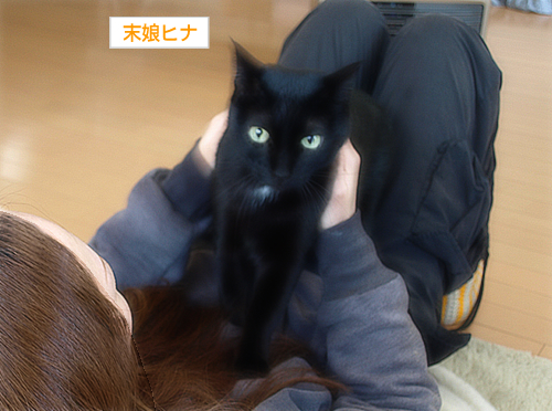 「かけがえ」はないけれど_a0389088_17280389.jpg