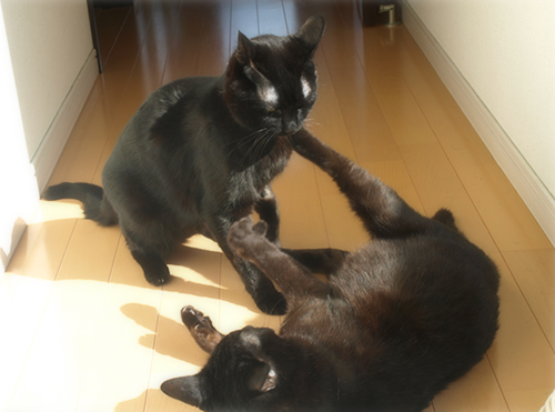 永遠に…_a0389088_17280565.jpg