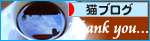過去形じゃない_a0389088_17283922.jpg