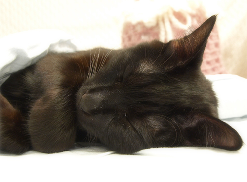 いつまでも_a0389088_17283980.jpg